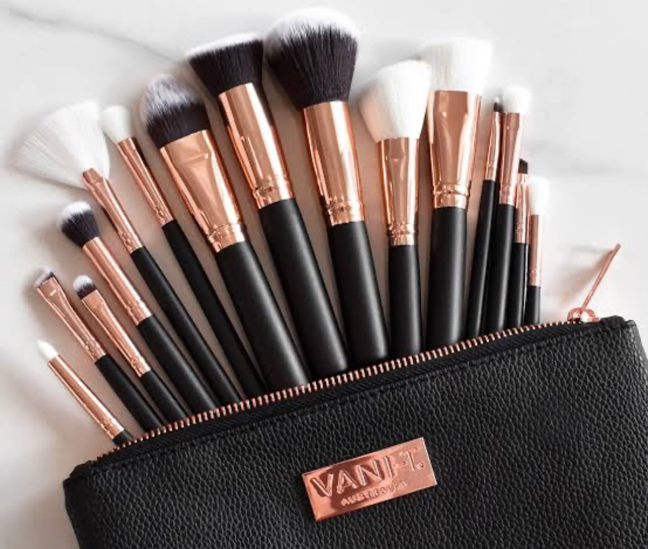 VANI-T Make Up Brush Set
